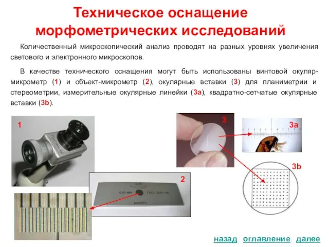 Техническое оснащение морфометрических исследований Количественный микроскопический анализ проводят на разных уровнях