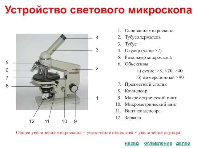 Устройство светового микроскопа Основание микроскопа Тубусодержатель Тубус Окуляр (чаще ×7) Револьвер