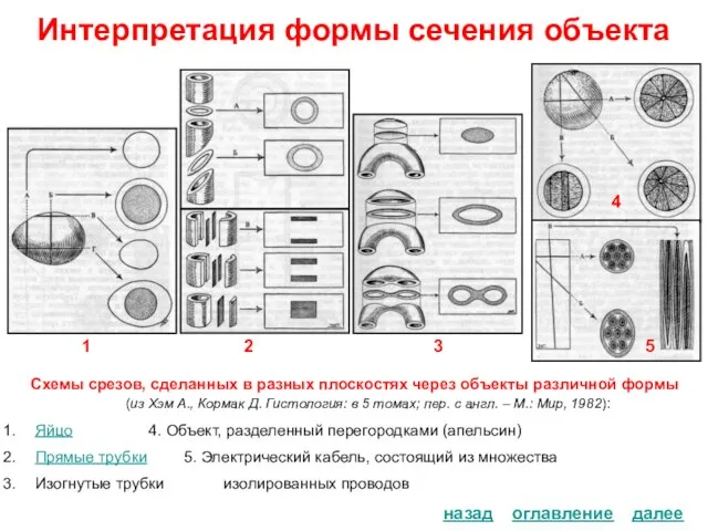 Интерпретация формы сечения объекта Схемы срезов, сделанных в разных плоскостях через