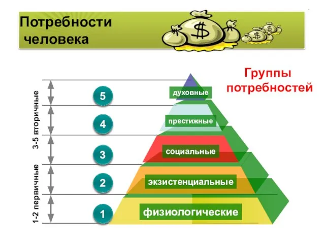 №5 №4 №3 №2 №1 1-2 первичные 3-5 вторичные Потребности человека Группы потребностей