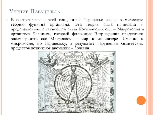 Учение Парацельса В соответствии с этой концепцией Парацельс создал химическую теорию