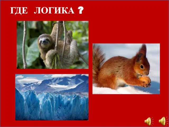 ГДЕ ЛОГИКА ?