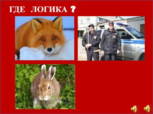 ГДЕ ЛОГИКА ?