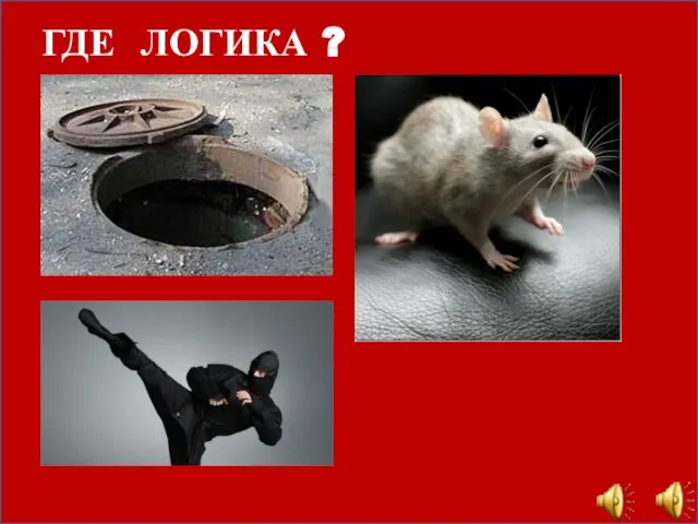 ГДЕ ЛОГИКА ?