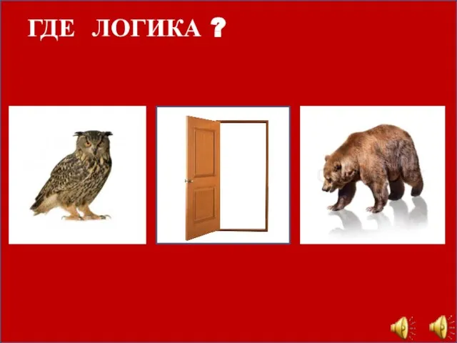 ГДЕ ЛОГИКА ?