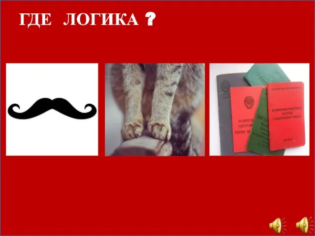 ГДЕ ЛОГИКА ?