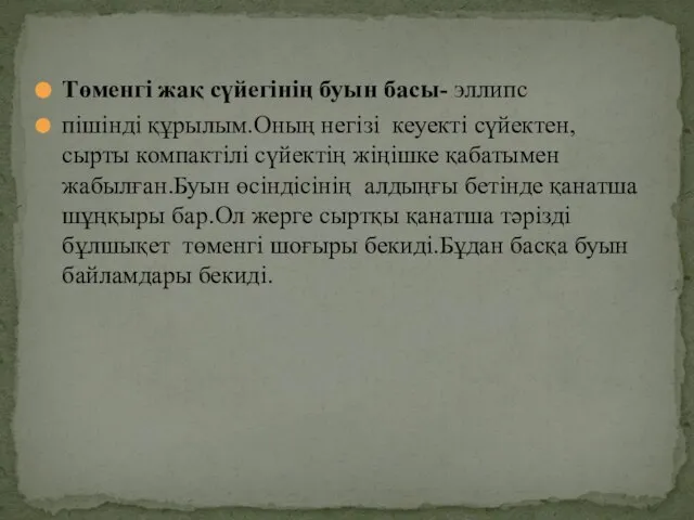 Төменгі жақ сүйегінің буын басы- эллипс пішінді құрылым.Оның негізі кеуекті сүйектен,