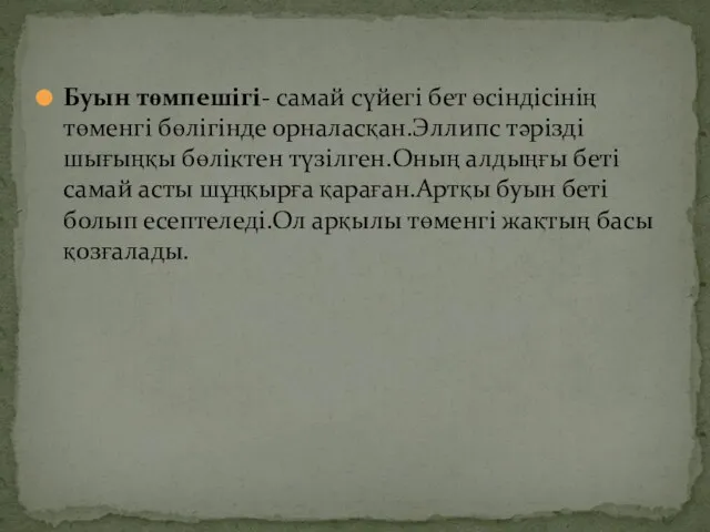 Буын төмпешігі- самай сүйегі бет өсіндісінің төменгі бөлігінде орналасқан.Эллипс тәрізді шығыңқы