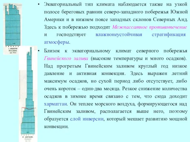 Экваториальный тип климата наблюдается также на узкой полосе береговых равнин северо-западного