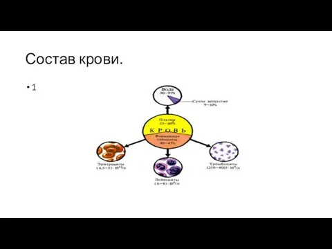 Состав крови. 1