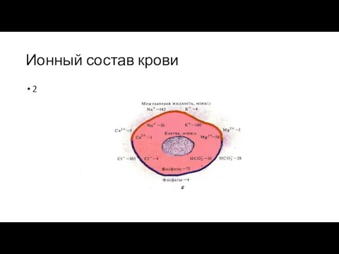 Ионный состав крови 2