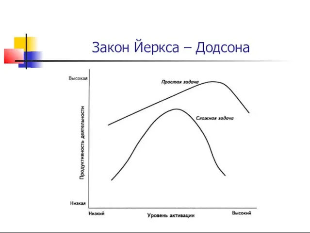 Закон Йеркса – Додсона