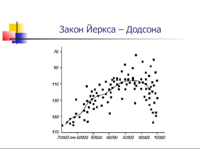 Закон Йеркса – Додсона