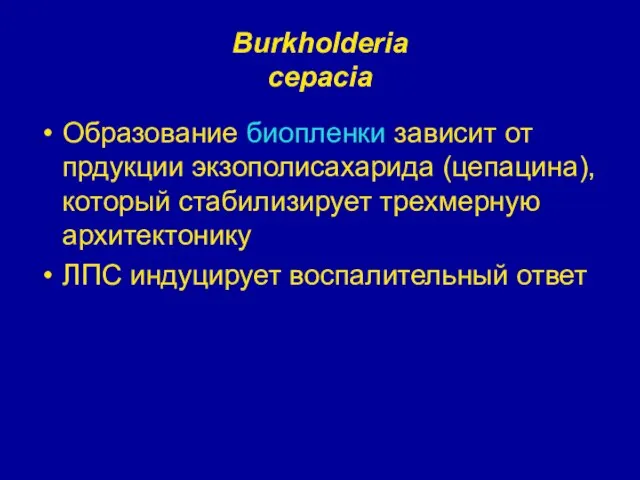 Burkholderia cepacia Образование биопленки зависит от прдукции экзополисахарида (цепацина), который стабилизирует