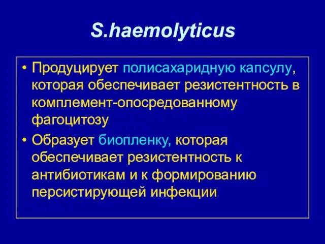 S.haemolyticus Продуцирует полисахаридную капсулу, которая обеспечивает резистентность в комплемент-опосредованному фагоцитозу Образует