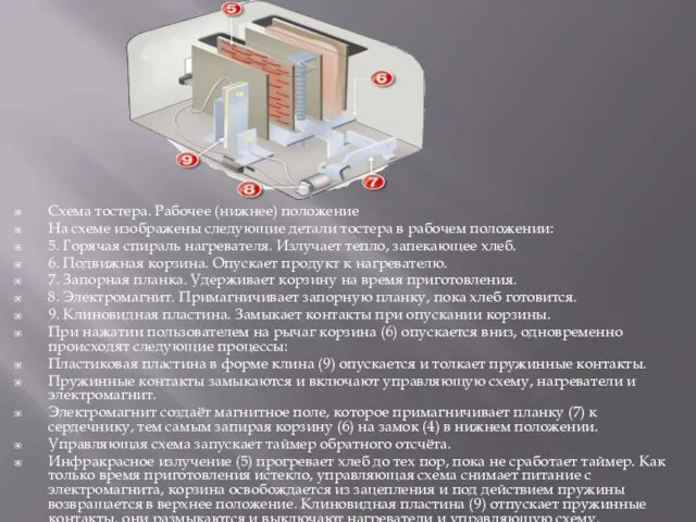 . Схема тостера. Рабочее (нижнее) положение На схеме изображены следующие детали