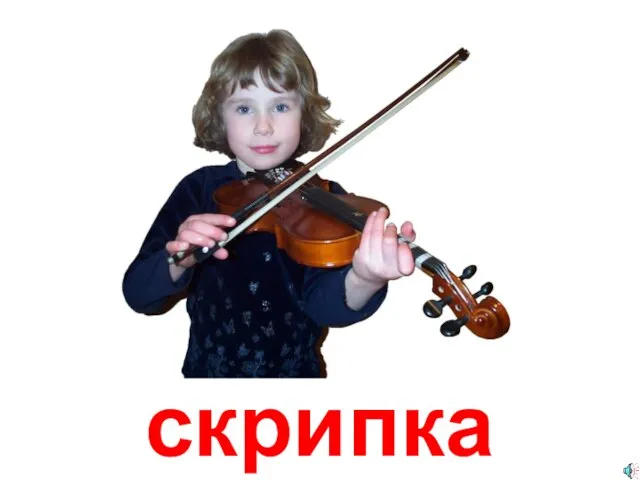 скрипка