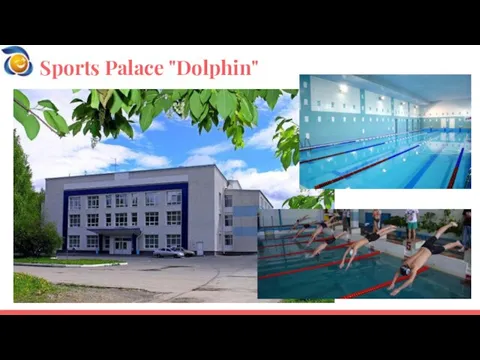 Sports Palace "Dolphin"