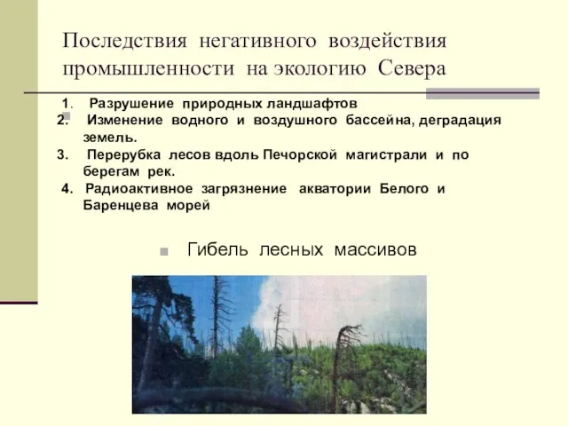 Последствия негативного воздействия промышленности на экологию Севера Гибель лесных массивов 1.