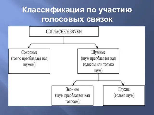 Классификация по участию голосовых связок