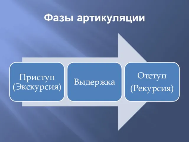 Фазы артикуляции