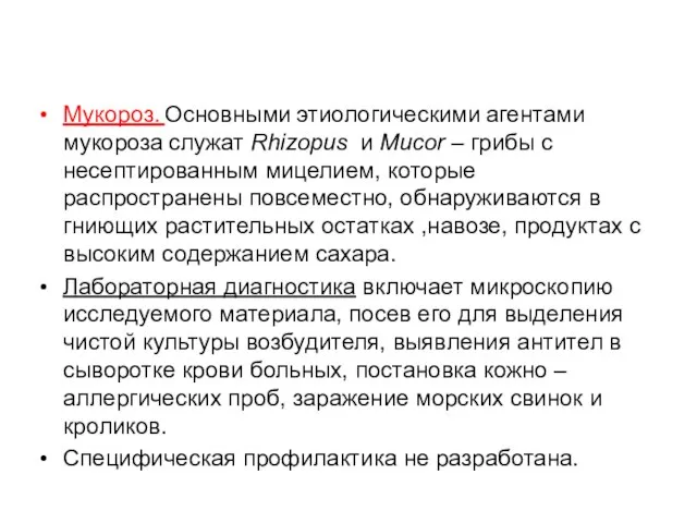 Мукороз. Основными этиологическими агентами мукороза служат Rhizopus и Mucor – грибы