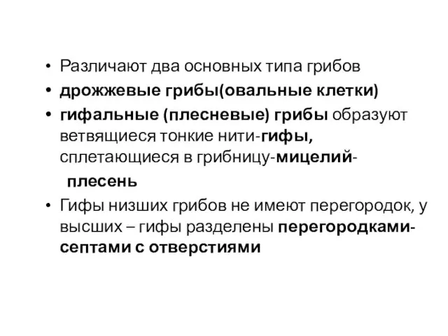 Различают два основных типа грибов дрожжевые грибы(овальные клетки) гифальные (плесневые) грибы