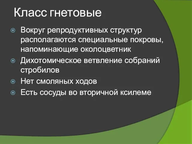 Вокруг репродуктивных структур располагаются специальные покровы, напоминающие околоцветник Дихотомическое ветвление собраний