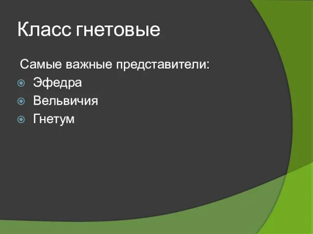 Класс гнетовые Самые важные представители: Эфедра Вельвичия Гнетум