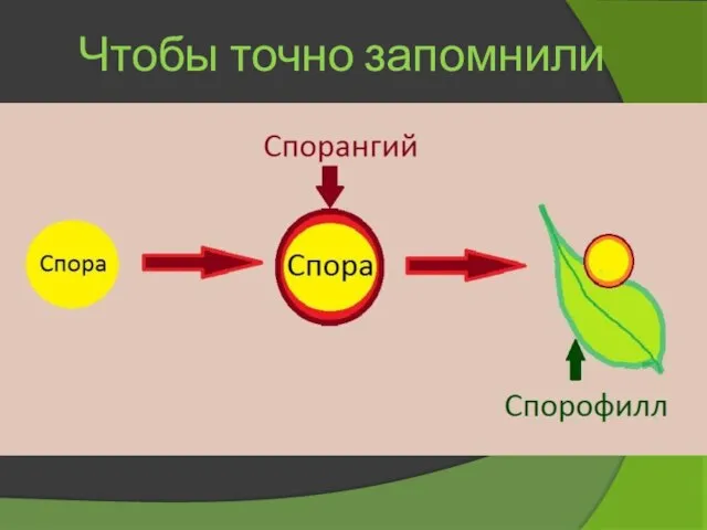 Чтобы точно запомнили