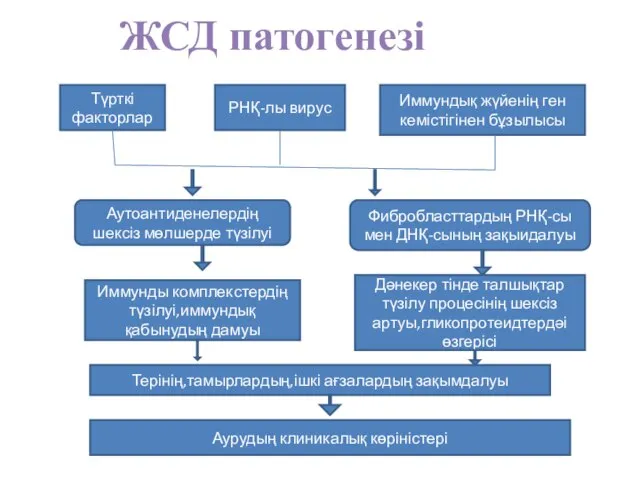 ЖСД патогенезі Түрткі факторлар РНҚ-лы вирус Иммундық жүйенің ген кемістігінен бұзылысы