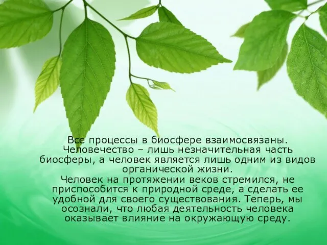 Все процессы в биосфере взаимосвязаны. Человечество – лишь незначительная часть биосферы,