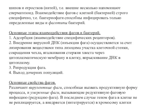 шипов и отростков (нитей), т.е. внешне несколько напоминают сперматозоид. Взаимодействие фагов