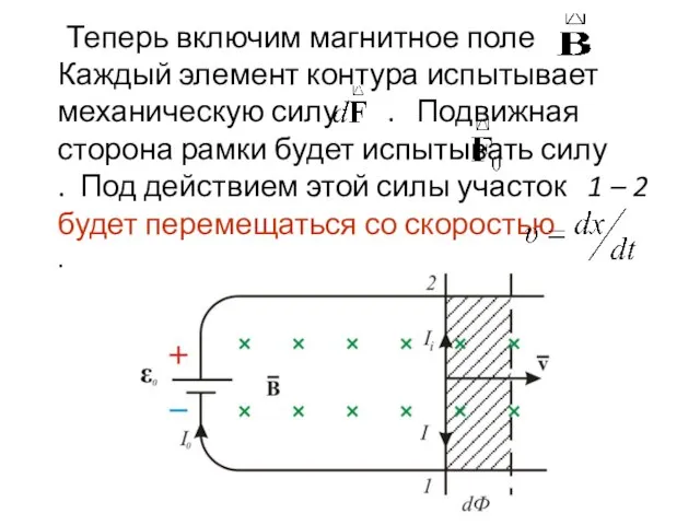 Теперь включим магнитное поле . Каждый элемент контура испытывает механическую силу