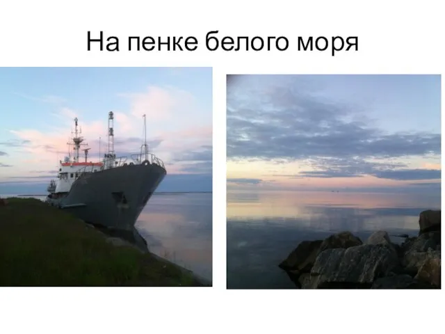 На пенке белого моря