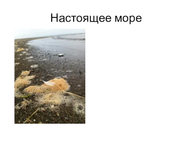 Настоящее море