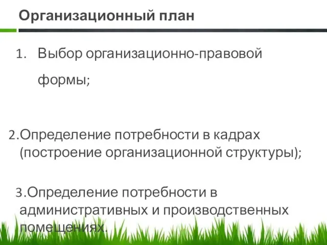 Организационный план Выбор организационно-правовой формы; Определение потребности в кадрах (построение организационной