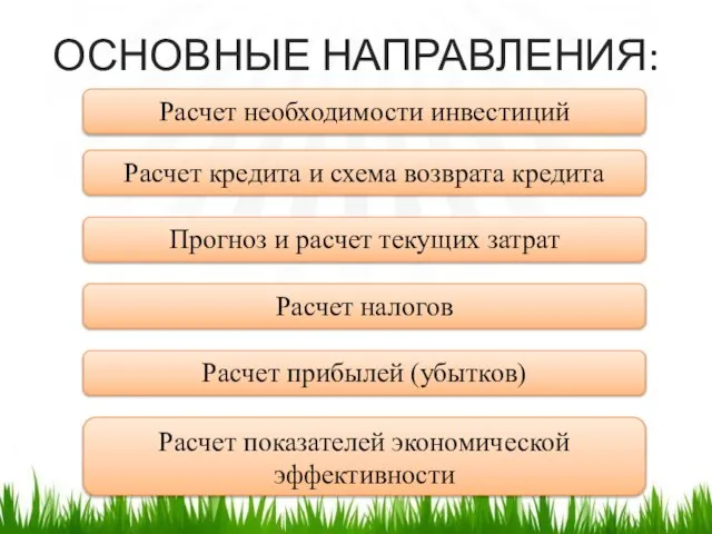 ОСНОВНЫЕ НАПРАВЛЕНИЯ: Расчет необходимости инвестиций Расчет кредита и схема возврата кредита