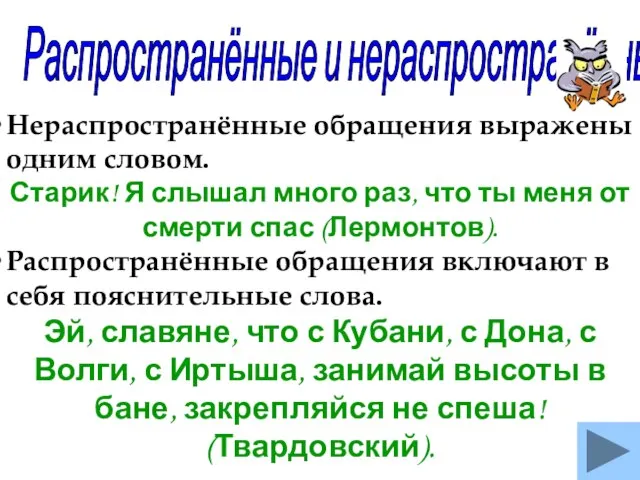 Распространённые и нераспространённые обращения Нераспространённые обращения выражены одним словом. Старик! Я