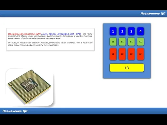 Назначение ЦП Назначение ЦП Центральный процессор (ЦП) (англ. central processing unit