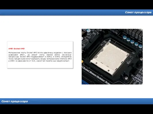Сокет процессора Сокет процессора AMD Socket AM3 Материнские платы Socket AM3