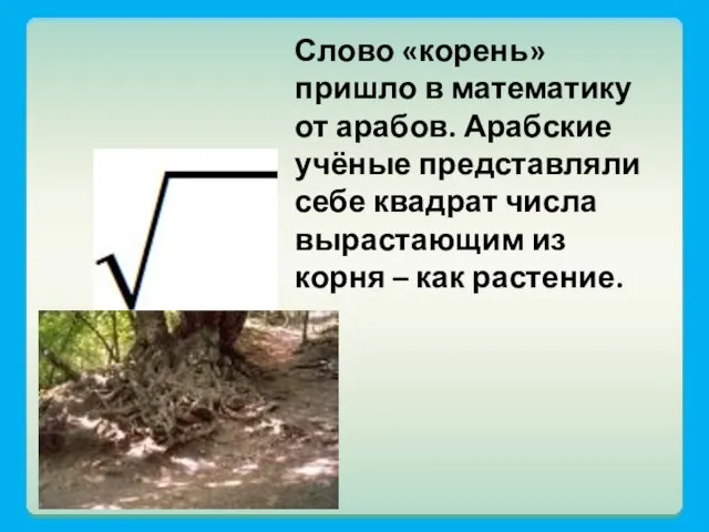 Слово «корень» пришло в математику от арабов. Арабские учёные представляли себе