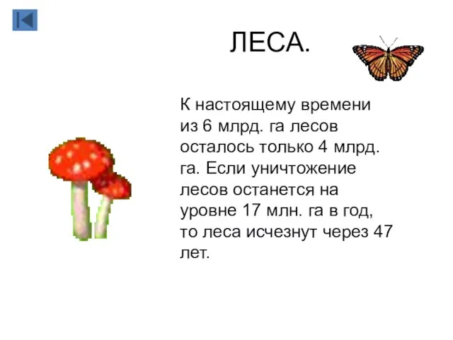 ЛЕСА. К настоящему времени из 6 млрд. га лесов осталось только