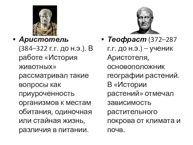 Аристотель (384–322 г.г. до н.э.). В работе «История животных» рассматривал такие