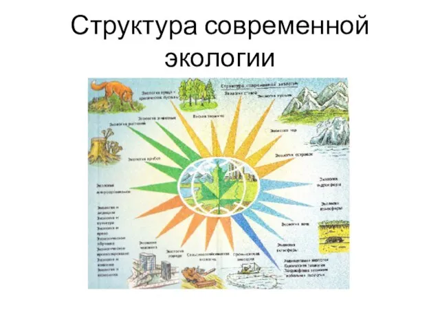 Структура современной экологии