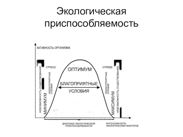 Экологическая приспособляемость