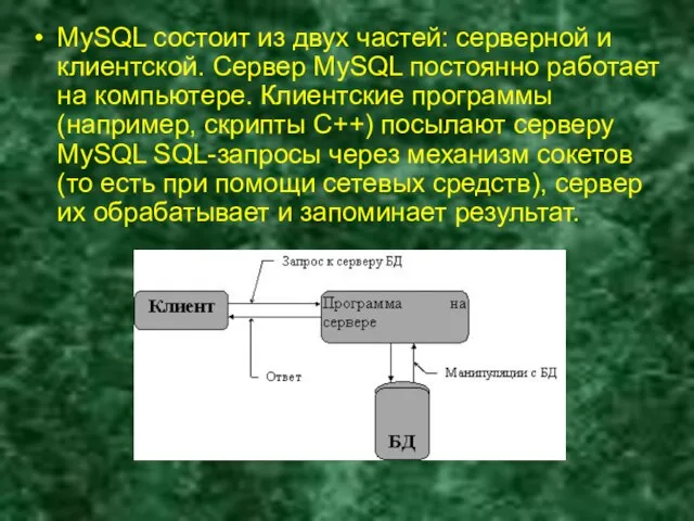 MySQL состоит из двух частей: серверной и клиентской. Сервер MySQL постоянно