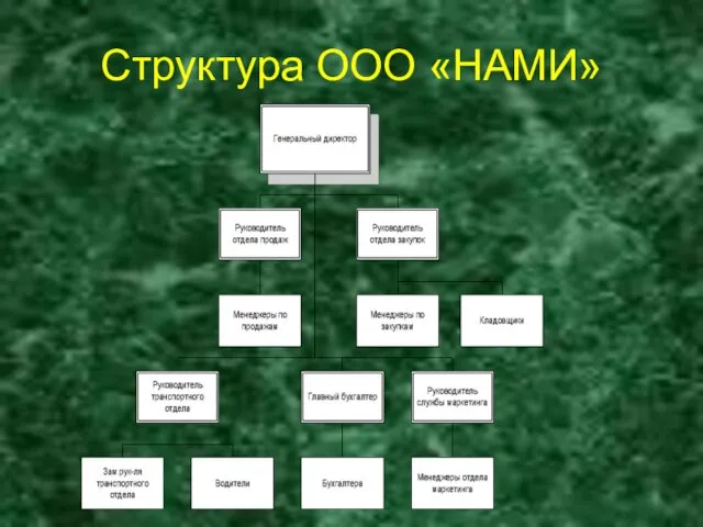 Структура ООО «НАМИ»