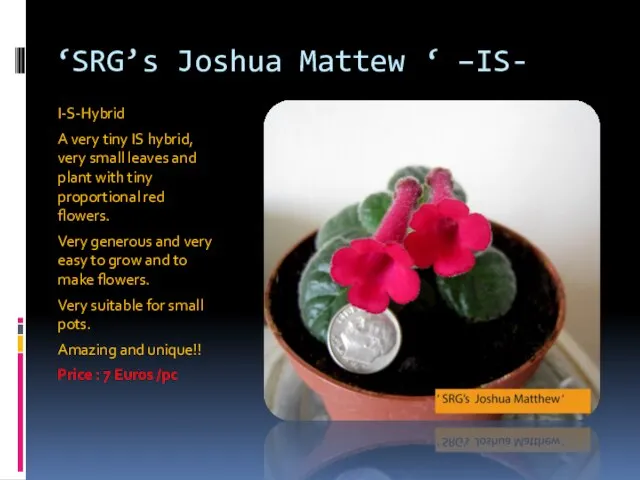 ‘SRG’s Joshua Mattew ‘ –IS- I-S-Hybrid A very tiny IS hybrid,