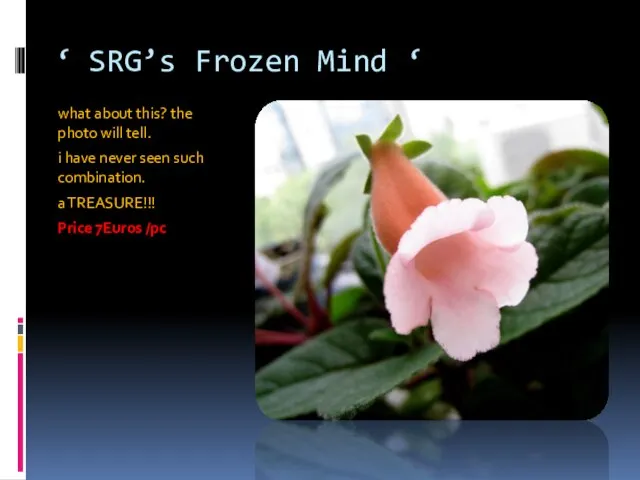 ‘ SRG’s Frozen Mind ‘ what about this? the photo will